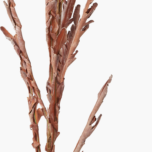 Pacific Lifestyle Mulberry Brown Autumn Leaf Pack Of 6