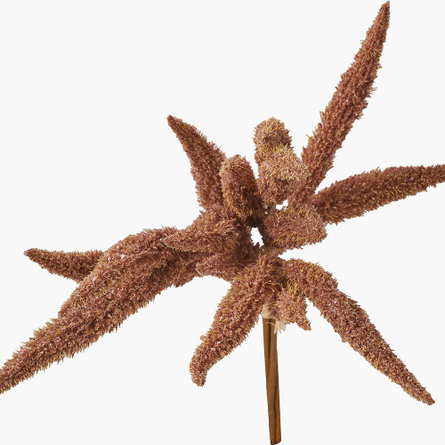 Pacific Lifestyle Mulberry Brown Foxtail Hand-Tied 3 Stem Bundle Pack Of 6