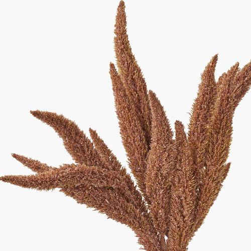 Pacific Lifestyle Mulberry Brown Foxtail Hand-Tied 3 Stem Bundle Pack Of 6