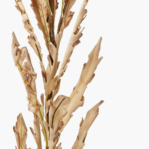 Pacific Lifestyle Natural Apricot Autumn Leaf Pack Of 6