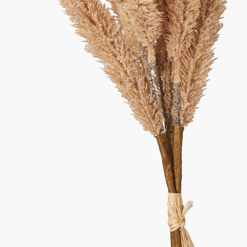Pacific Lifestyle Natural Apricot Foxtail Hand-Tied 3 Stem Bundle Pack Of 6