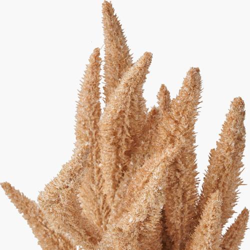 Pacific Lifestyle Natural Apricot Foxtail Hand-Tied 3 Stem Bundle Pack Of 6