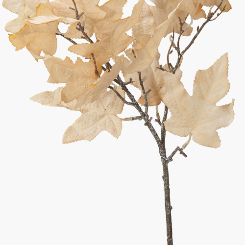 Pacific Lifestyle Natural Apricot Maple Leaf Pack Of 6