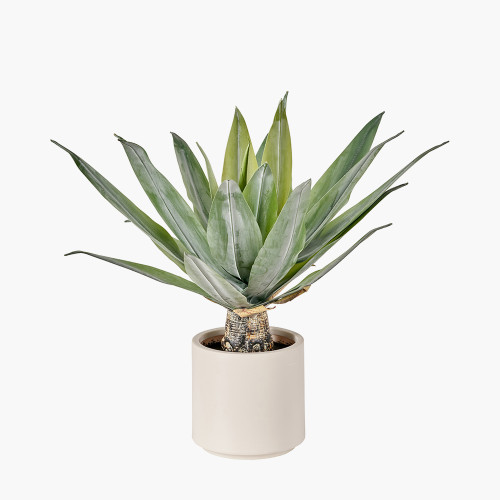 Pacific Lifestyle Agave Plant In Pot