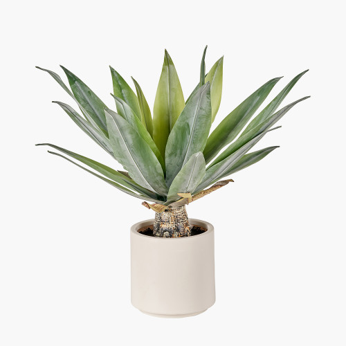 Pacific Lifestyle Agave Plant In Pot