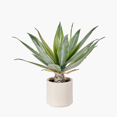 pacific lifestyle Agave Plant in Pot