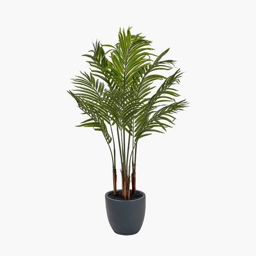 Pacific Lifestyle Areca Palm Plant In Pot