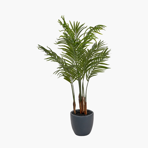 Pacific Lifestyle Areca Palm Plant In Pot