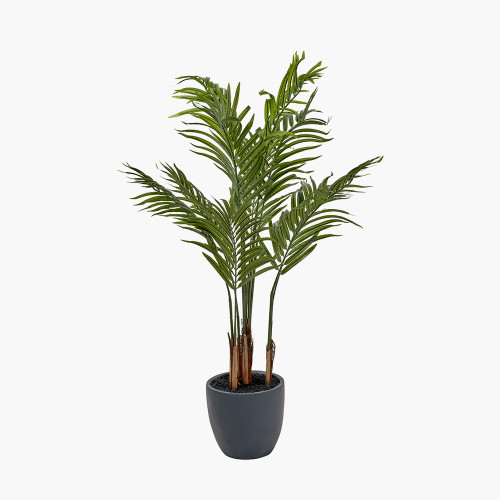 pacific lifestyle Areca Palm Plant in Pot