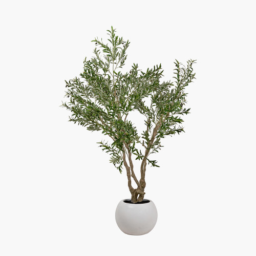 pacific lifestyle Extra Large Olive Tree in Pot