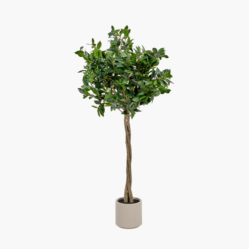 Pacific Lifestyle Medium Bay Tree In Pot