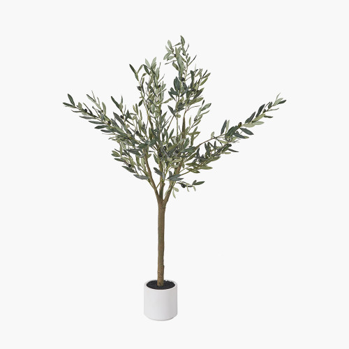 pacific lifestyle Medium Olive Tree in Pot