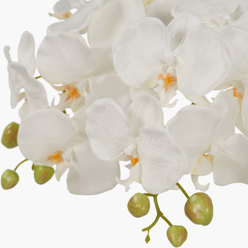 Pacific Lifestyle Medium White Orchid In Moss Pot