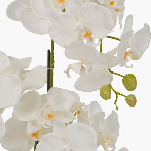 Pacific Lifestyle Medium White Orchid In Pot