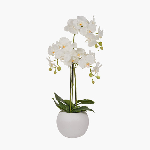 pacific lifestyle Medium White Orchid in Pot