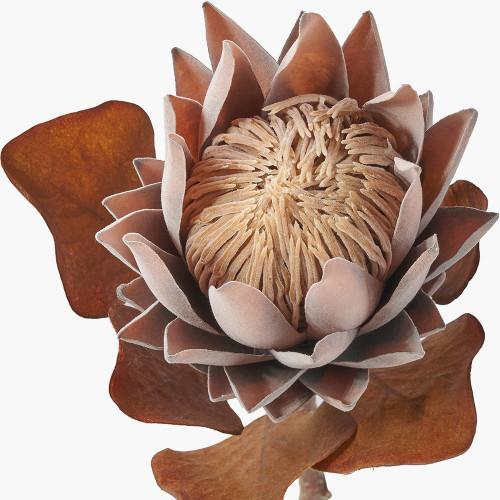 Pacific Lifestyle Mulberry Brown Protea Pack Of 6