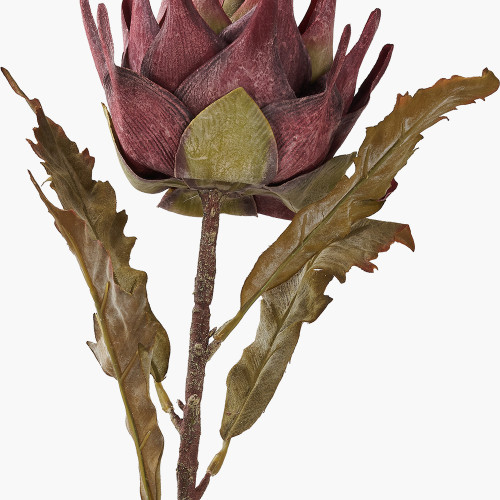 Pacific Lifestyle Mulberry Lotus Pack Of 6