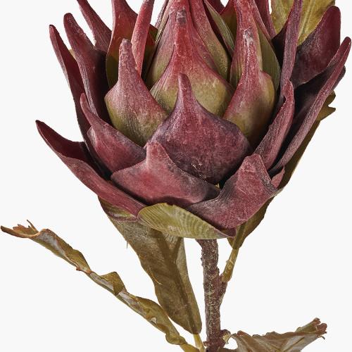 Pacific Lifestyle Mulberry Lotus Pack Of 6