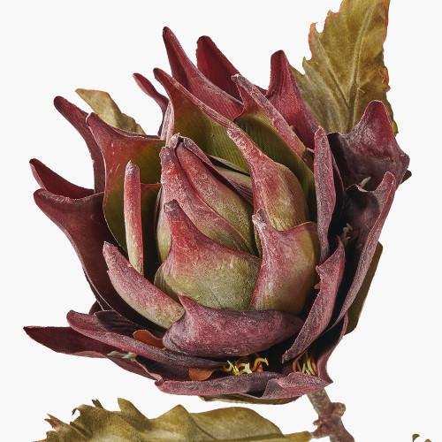 Pacific Lifestyle Mulberry Lotus Pack Of 6