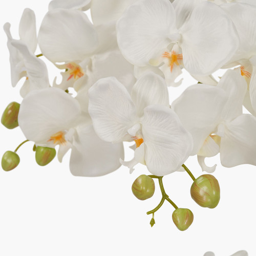 Pacific Lifestyle Tall White Orchid In Pot