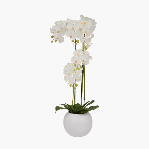 pacific lifestyle Tall White Orchid in Pot