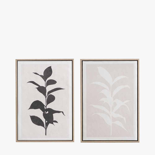 pacific lifestyle S/2 Natural and Black Leaf Print Canvases with Natural Frames