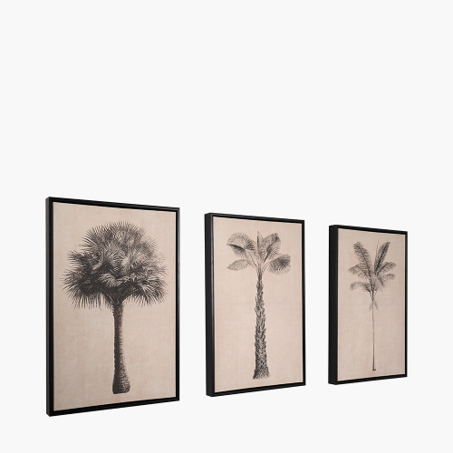 Pacific Lifestyle S/3 Natural And Black Palm Tree Print Canvases With Black Frames