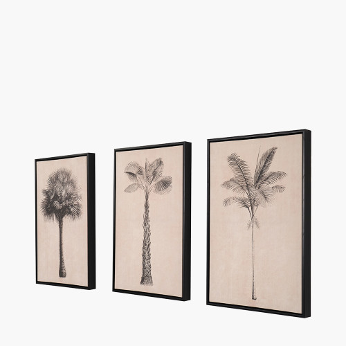 Pacific Lifestyle S/3 Natural And Black Palm Tree Print Canvases With Black Frames