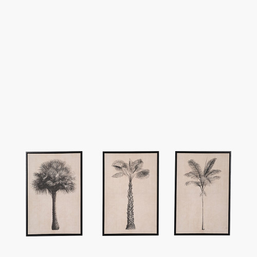 pacific lifestyle S/3 Natural and Black Palm Tree Print Canvases with Black Frames