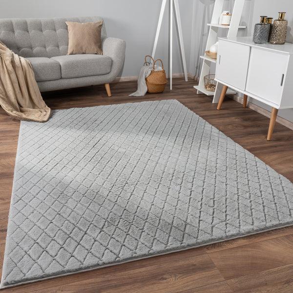 paco home ARNHEIM 742 GREY Rugs