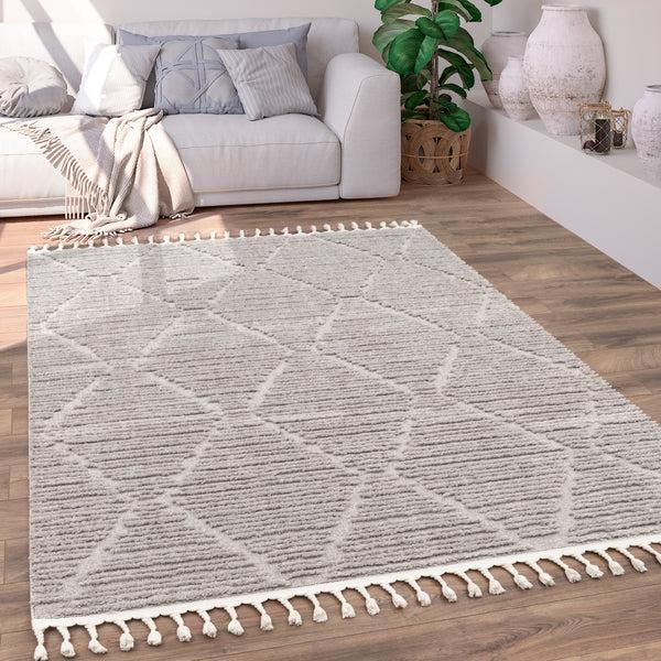 paco home AUCKLAND 291 GREY Rugs