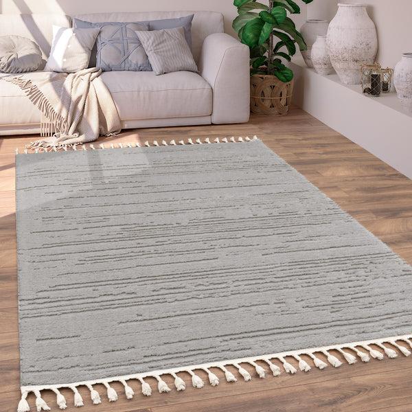 paco home AUCKLAND 294 GREY Rugs