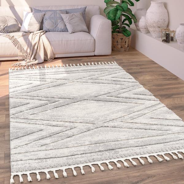 paco home AUCKLAND 295 GREY Rugs
