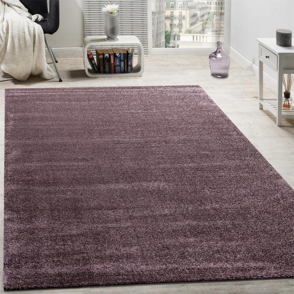 paco home BENTO 500 PURPLE Rugs
