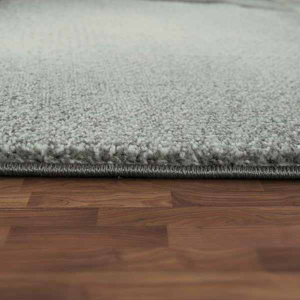 Paco Home BRILLIANCE 660 ANTHRACITE Rugs