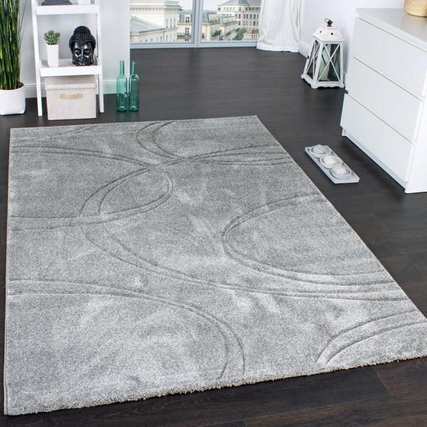 paco home BRILLIANCE 757 GREY Rugs