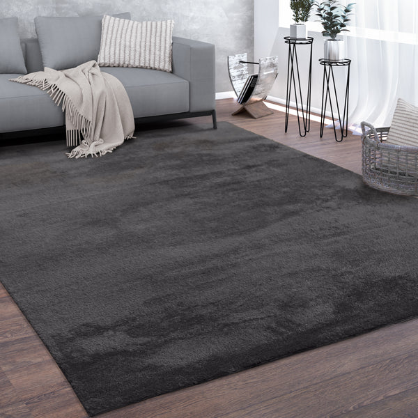 paco home CADIZ 630 ANTHRACITE Rugs