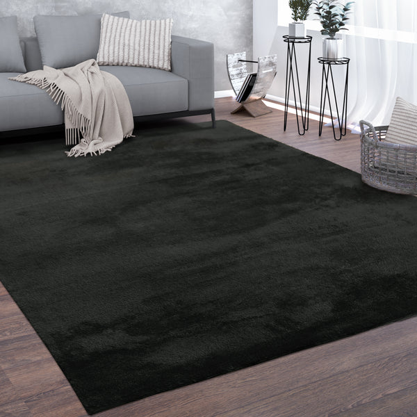 paco home CADIZ 630 BLACK Rugs
