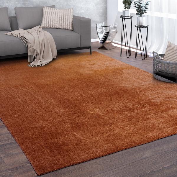 paco home CADIZ 630 COOPER Rugs