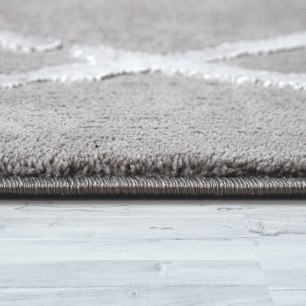 Paco Home DEFNE 263 GREY Rugs