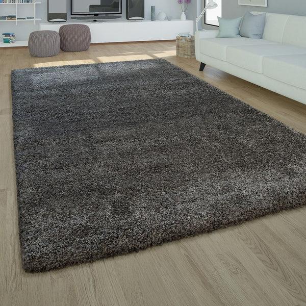 paco home DELUXE 500 SILVER Rugs