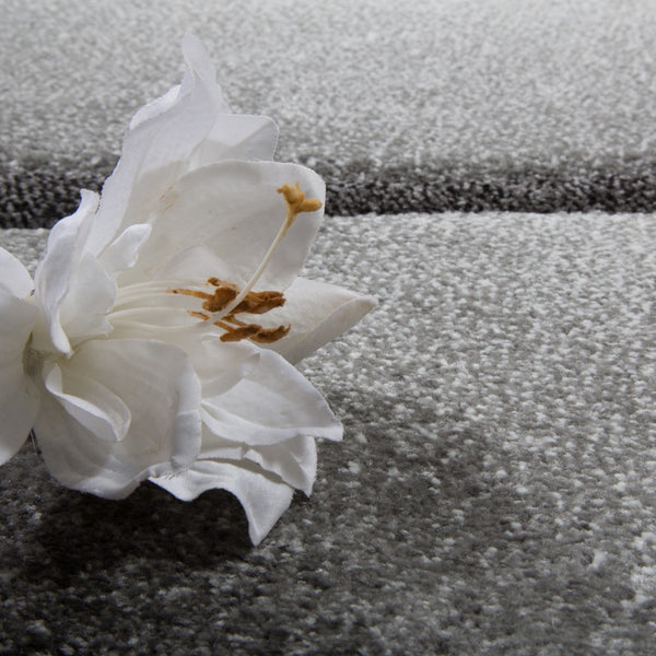 Paco Home DIAMOND 666 GREY Rugs