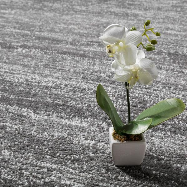 Paco Home ECE 900 GREY Rugs