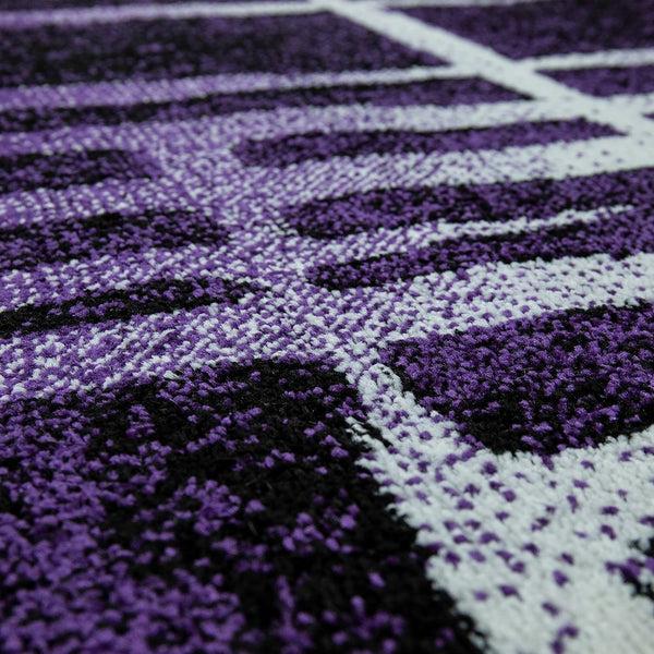 Paco Home ECE 924 PURPLE Rugs