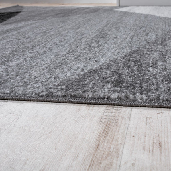Paco Home FIESTA 110 GREY Rugs