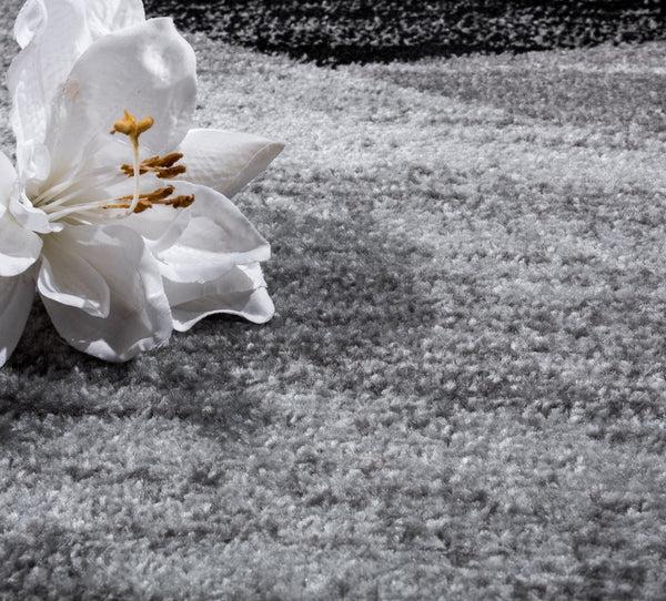 Paco Home FIESTA 110 GREY Rugs