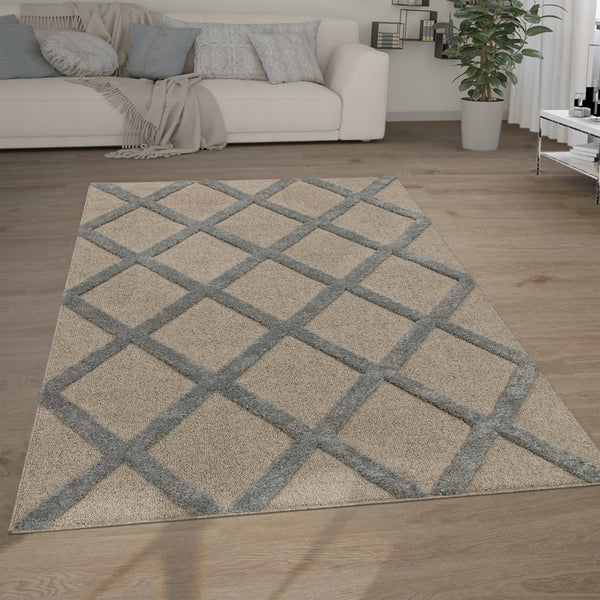 paco home GENUA 745 GREY Rugs