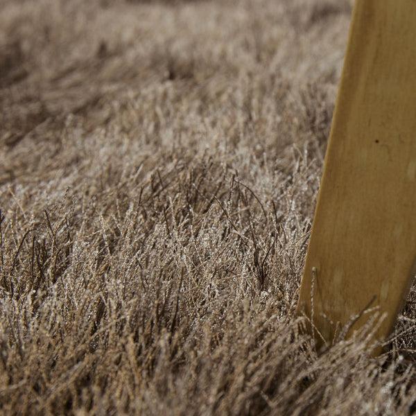 Paco Home GLAMOUR 300 BEIGE Rugs