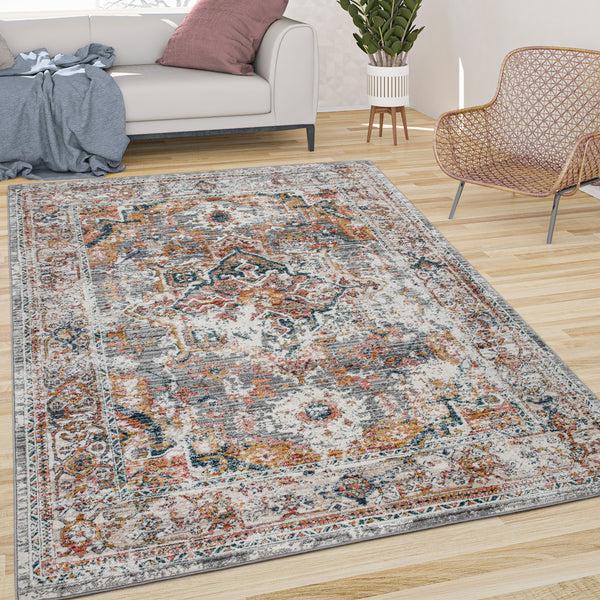 paco home HERBETE 731 MULTICOLORED Rugs