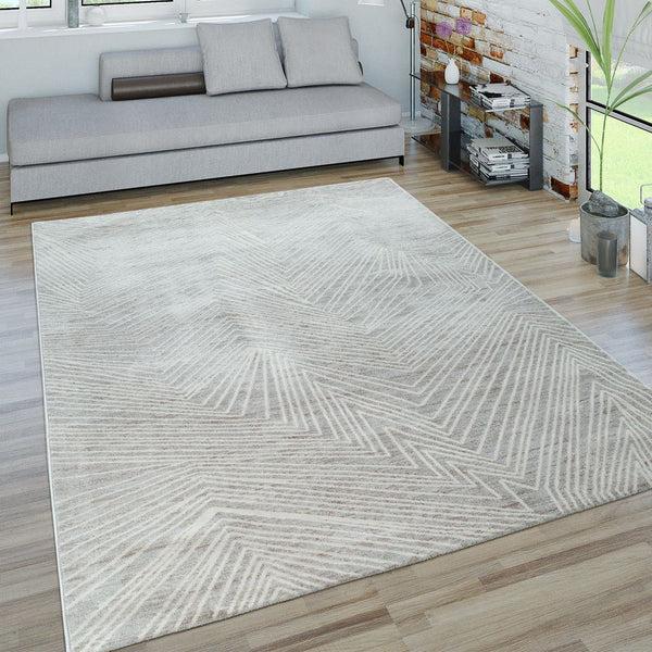 paco home HYPNOS 871 GREY Rugs